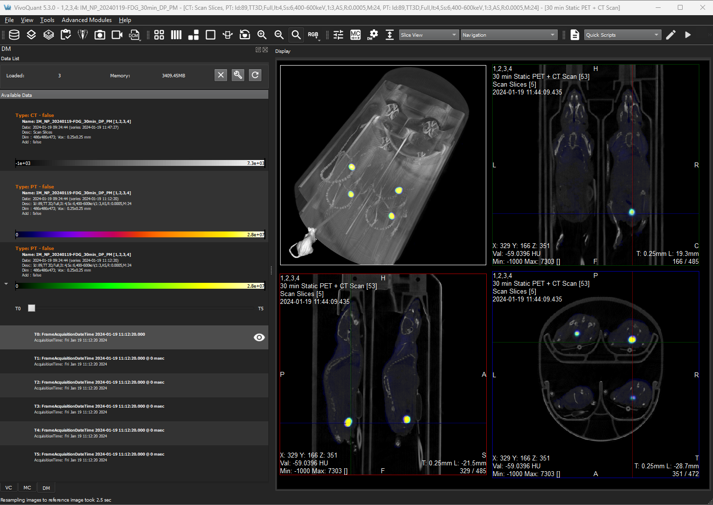 Image of VivoQuant UI: Data Manager opened with loaded Dynamic Dataset